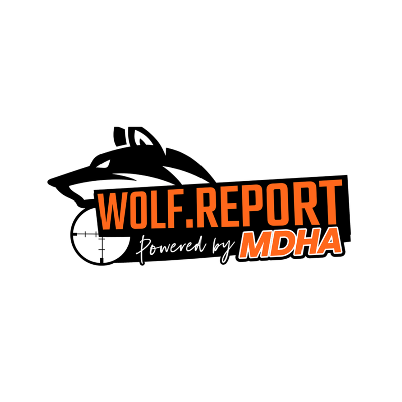 logo for Wolf Report